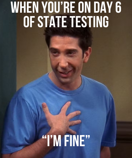 When you’re on Day 6 of State Tesiting